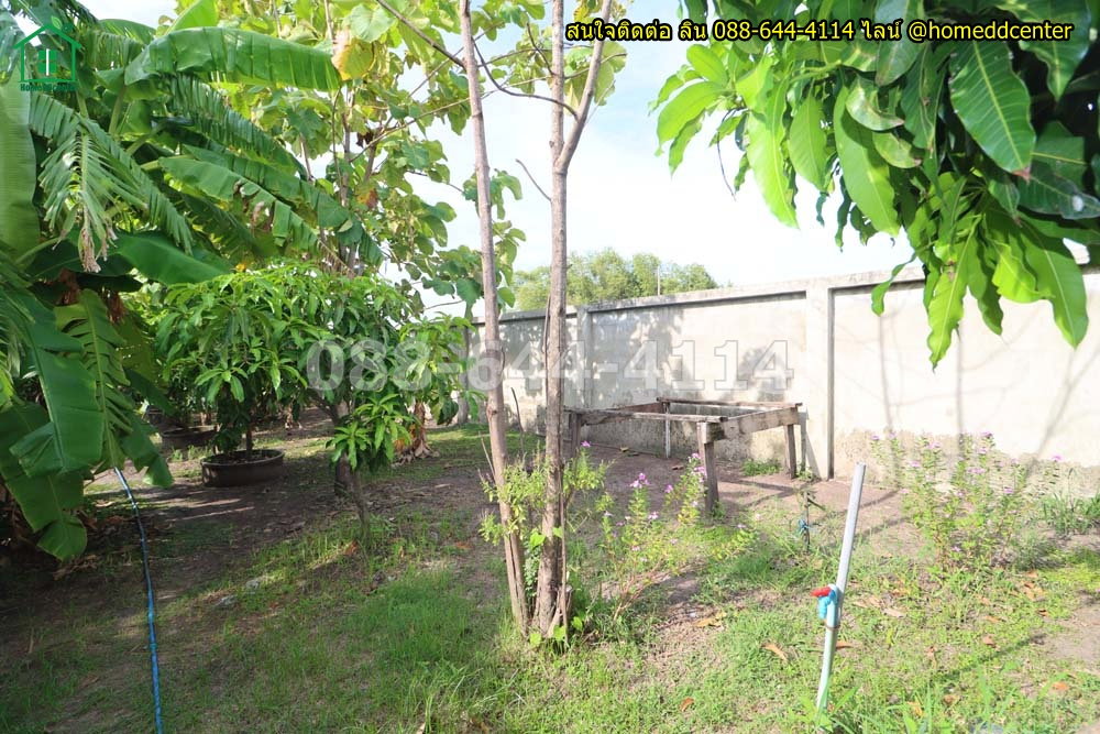 รูป ขายบ้านสวนพร้อมที่ดิน 579 ตร.ว. ทับยาว ลาดกระบัง ใกล้สุวรรณภูมิ มอเตอร์เวย์ เทคโนฯพระจอมเกล้า ลาดกระบัง - รูปที่ 24/36