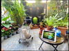 listing thumbnail image 2