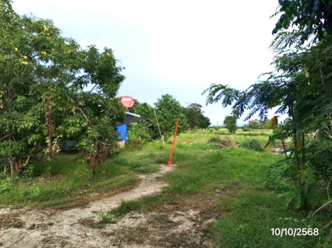 picture HOME 205 Sq.w. Chun Phayao for 1M - 3/14