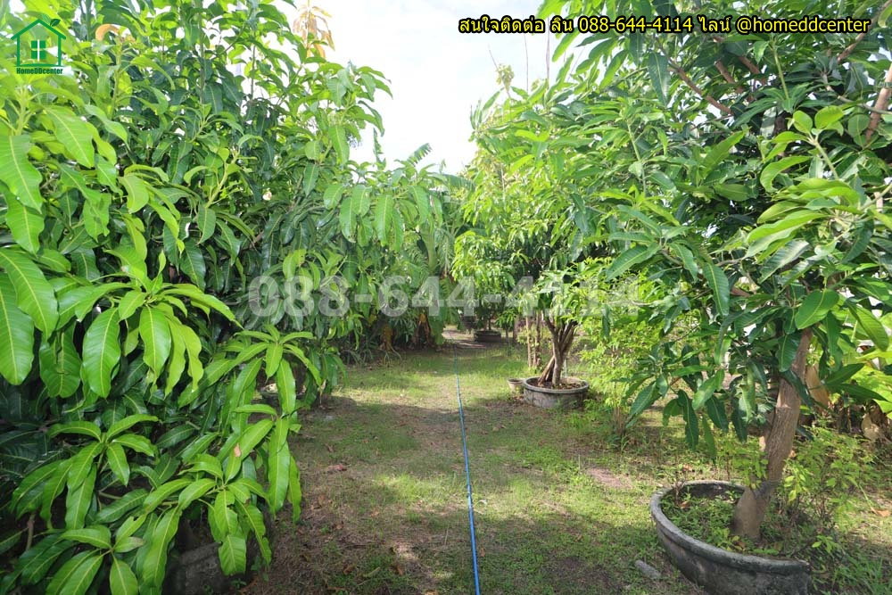รูป ขายบ้านสวนพร้อมที่ดิน 579 ตร.ว. ทับยาว ลาดกระบัง ใกล้สุวรรณภูมิ มอเตอร์เวย์ เทคโนฯพระจอมเกล้า ลาดกระบัง - รูปที่ 23/36