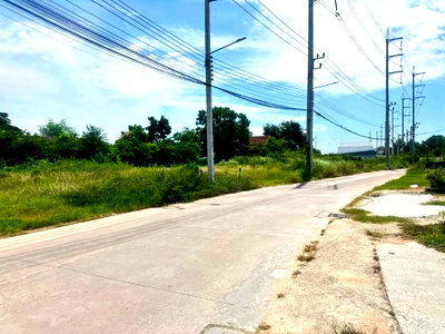 Land for sale Bang Lamung Chonburi : Land for Sale Nong Yai East Pattaya Subdivided Plots