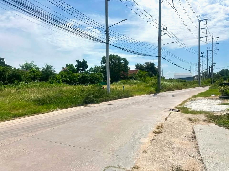 picture Land for Sale Nong Yai East Pattaya Subdivided Plots - 1/6