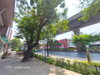 listing thumbnail image 29