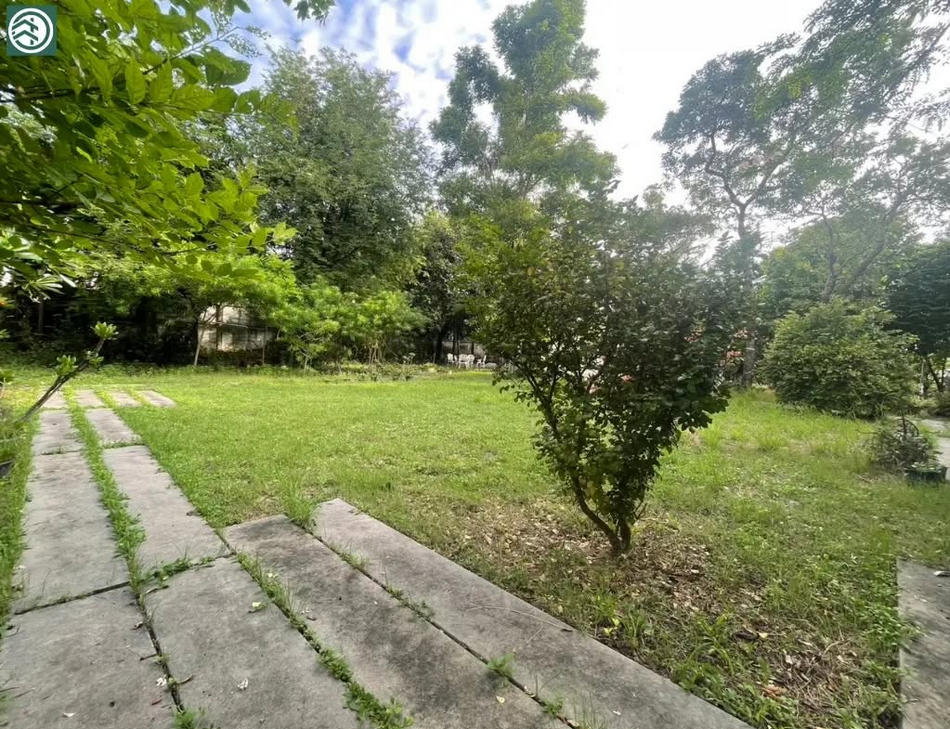 picture Call : 091-751-3045 Land For Sale Samut Prakan, Pak Nam, Mueang Samut Prakan District, Samut Prakan - 8/11