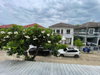 listing thumbnail image 24