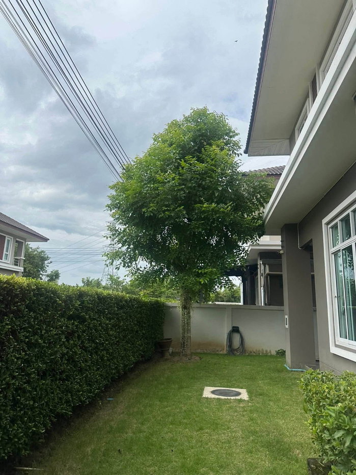 รูป 🏡 บ้านหรู เดอะพรีโก้ สันกำแพง 4 นอน 4 น้ำ พร้อมเฟอร์นิเจอร์ครบ ใกล้ รร.นานาชาติ 📞 063-664-9056 - รูปที่ 13/14