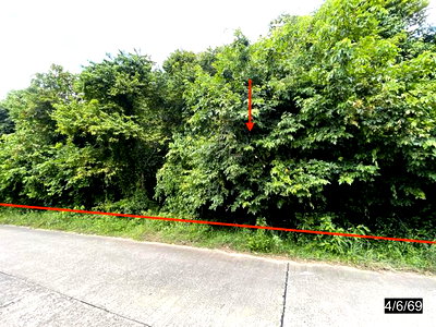 LAND 4372 Sq.w. Yang Talat Kalasin for 4.9M