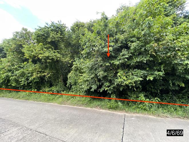 รูป ที่ดินว่างเปล่า 4372 ตร.วา ยางตลาด กาฬสินธุ์ 4.9M - รูปที่ 1/16