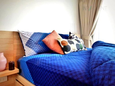 Condos for rent : 🎉 For Rent Condo A SPACE MEGA Building 1, Floor 8,1 bed room, Room size 28.00 sqm