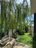 listing thumbnail image 16