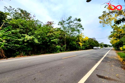 ที่ดิน หนองเสือ ปทุมธานี : ขายที่ดิน 44 ไร่เศษ ถนนเลียบคลอง 11 หนองเสือ ปทุมธานี