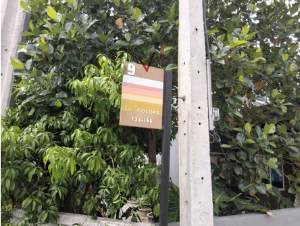 รูป ทาวน์เฮ้าส์ 20 ตร.วา โครงการ อารียา กาญจนาภิเษก-ราชพฤกษ์(ไทรน้อย) เฟส8 นนทบุรี ไทรน้อย นนทบุรี 2.2M - รูปที่ 6/19