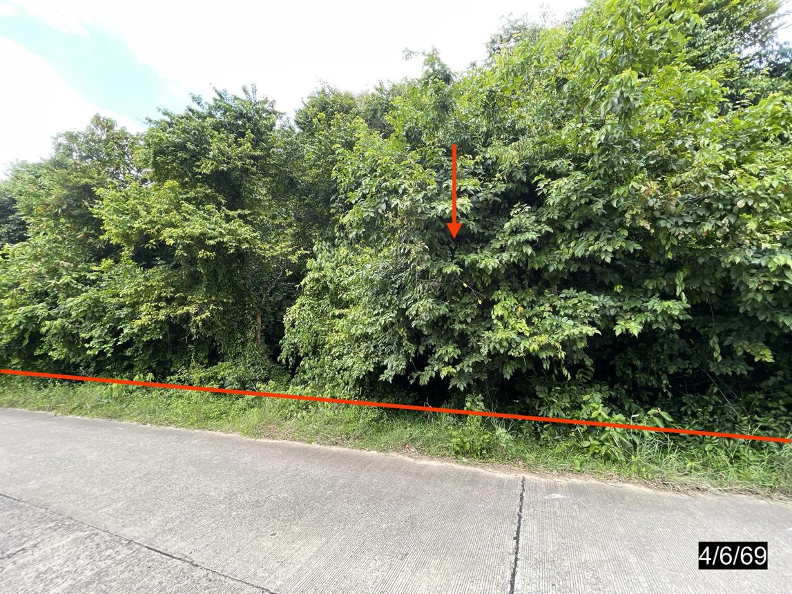 รูป ที่ดินว่างเปล่า 4372 ตร.วา ยางตลาด กาฬสินธุ์ 4.9M - รูปที่ 7/16
