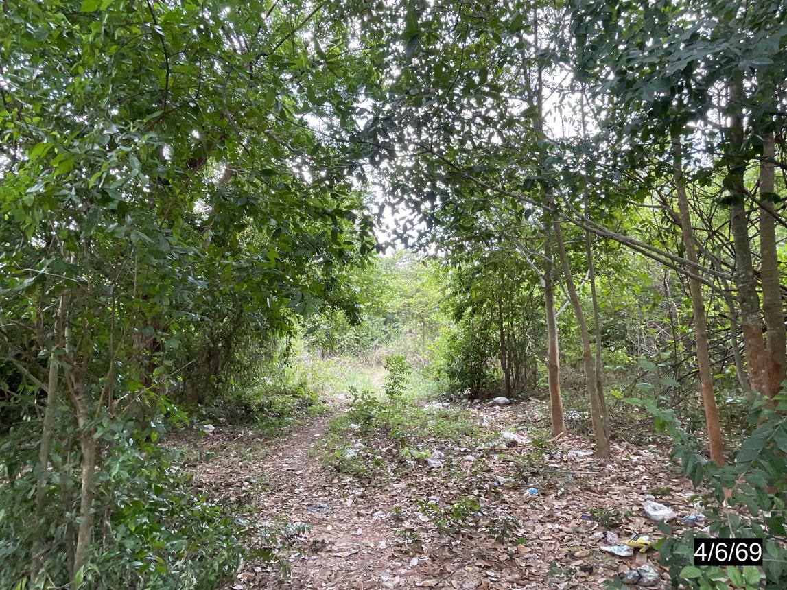 รูป ที่ดินว่างเปล่า 4372 ตร.วา ยางตลาด กาฬสินธุ์ 4.9M - รูปที่ 12/16