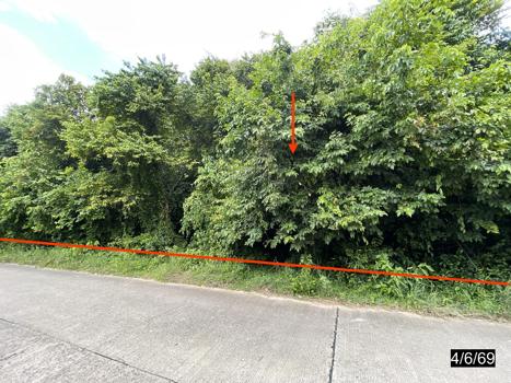 รูป ที่ดินว่างเปล่า 4372 ตร.วา ยางตลาด กาฬสินธุ์ 4.9M - รูปที่ 13/16