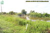 listing thumbnail image 35