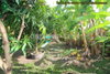 listing thumbnail image 28