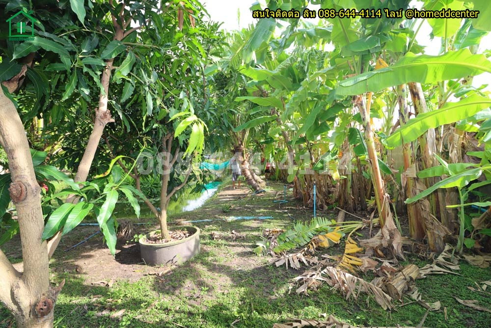 รูป ขายบ้านสวนพร้อมที่ดิน 579 ตร.ว. ทับยาว ลาดกระบัง ใกล้สุวรรณภูมิ มอเตอร์เวย์ เทคโนฯพระจอมเกล้า ลาดกระบัง - รูปที่ 29/36