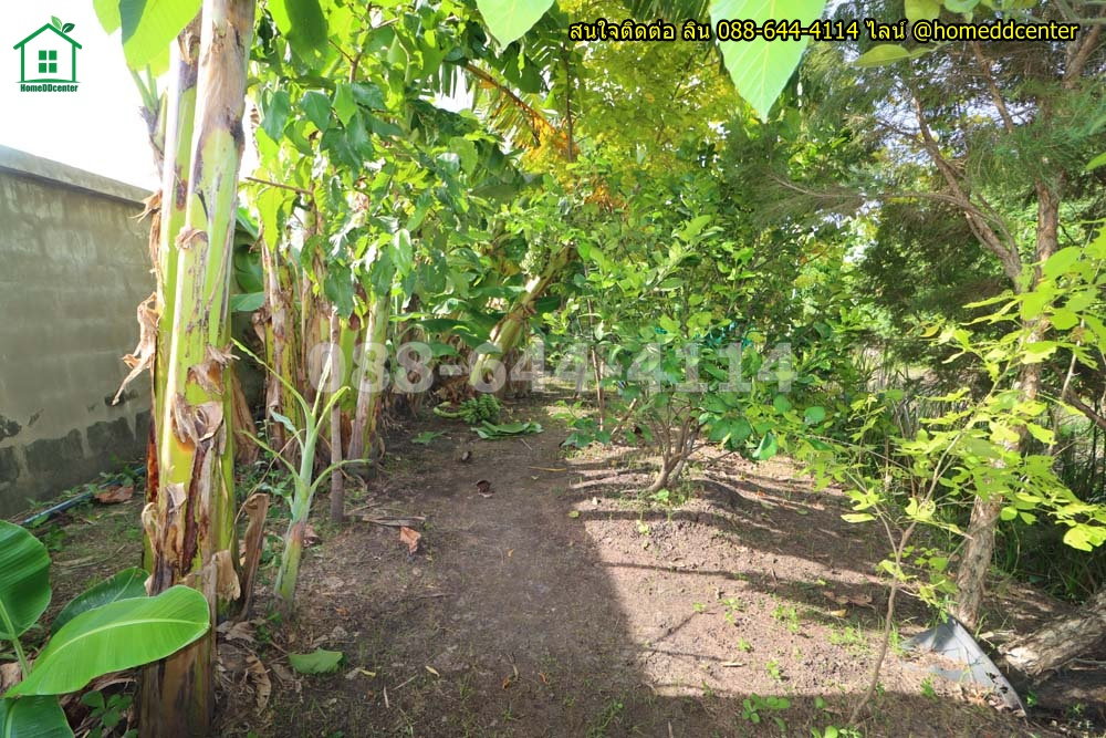 รูป ขายที่ดินแถมบ้านสวน 579 ตร.ว. ลาดกระบัง ใกล้สุวรรณภูมิ มอเตอร์เวย์ ม.เทคโนฯพระจอมเกล้า ลาดกระบัง - รูปที่ 15/18
