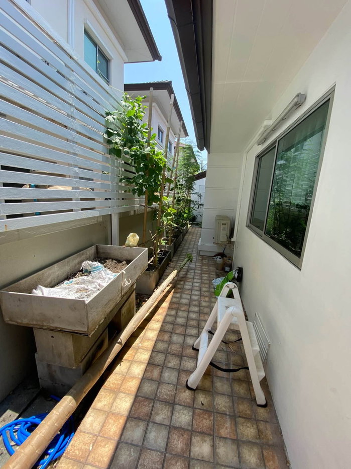 รูป RS7276 ให้เช่า บ้านเดี่ยว The Centro สุขุมวิท 113 บ้านแปลงสวยหน้าสวนและสระว่ายน้ำ ส่วนตัว ใกล้ BTS แบริ่ง - รูปที่ 39/50