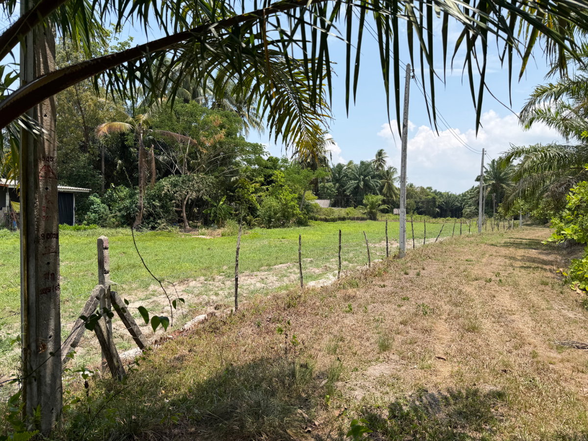 รูป ขาย ที่ดินทำเลสวยกึ่งบ้านสวน 3 ไร่กว่า ต.ตลิ่งชัน อ.เหนือคลอง จ.กระบี่ - รูปที่ 4/9