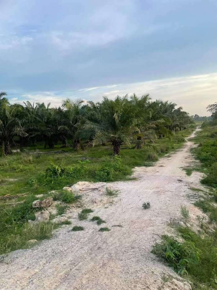 picture Land for sale chachoengsao,in Apex Green Industrial Estate - 5/5