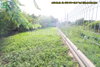 listing thumbnail image 33