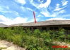 listing thumbnail image 26