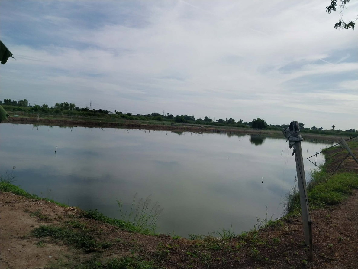 รูป ขายที่ดินบ่อกุ้ง ขนาด 8 ไร่ 2 งาน 56 ตร.วา อำเภอดอนตูม จังหวัดนครปฐม - รูปที่ 2/8