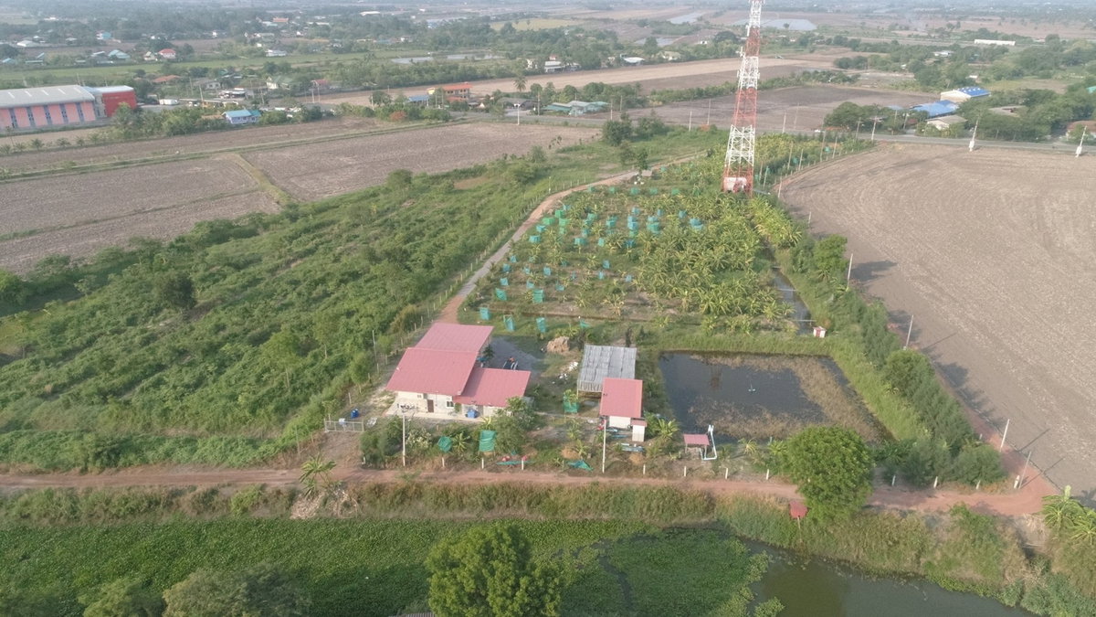 รูป ขายที่ดิน 9 ไร่ 1 งาน 28 ตรว ถนน 3200 สายฉะเชิงเทรา-บางน้ำเปรี้ยว ถมแล้วบางส่วน มีด้านหน้าติดถนนใหญ่ ด้านหลังติดคลองกลาง มีน้ำตลอดทั้งปี - รูปที่ 2/9