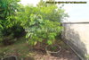 listing thumbnail image 25