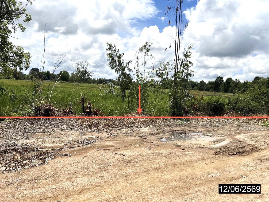 picture LAND 2738 Sq.w. Kamalasai Kalasin for 1.4M - 11/24