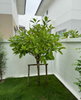 listing thumbnail image 4