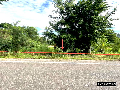 LAND 2480.4 Sq.w. Muang Kalasin Kalasin for 4.6M