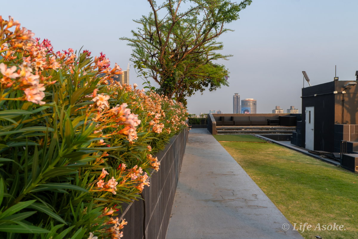 รูป [เจ้าของปล่อยเอง] Life Asoke - ติด MRT เพชรบุรี ห้องสวย วิวปัง พร้อมเข้าอยู่ทันที! (รับเอเจ้นต์) - รูปที่ 68/72