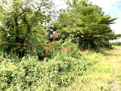 ที่ดินว่างเปล่า 800 ตร.วา ศรีมหาโพธิ ปราจีนบุรี 1.6M