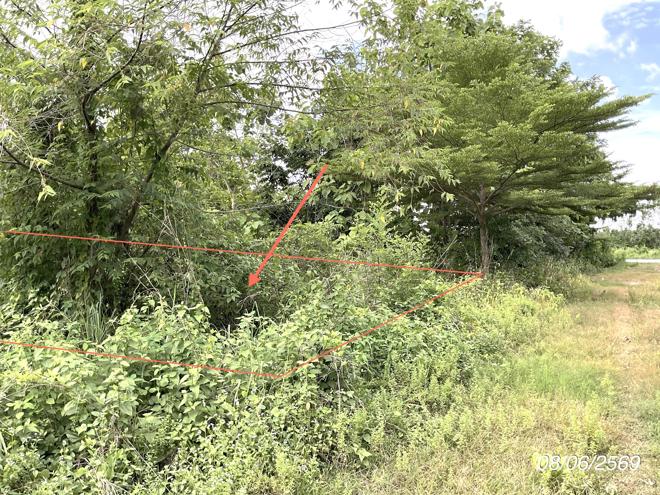 picture LAND 800 Sq.w. Sri Maha Pho Prachinburi for 1.6M - 1/20