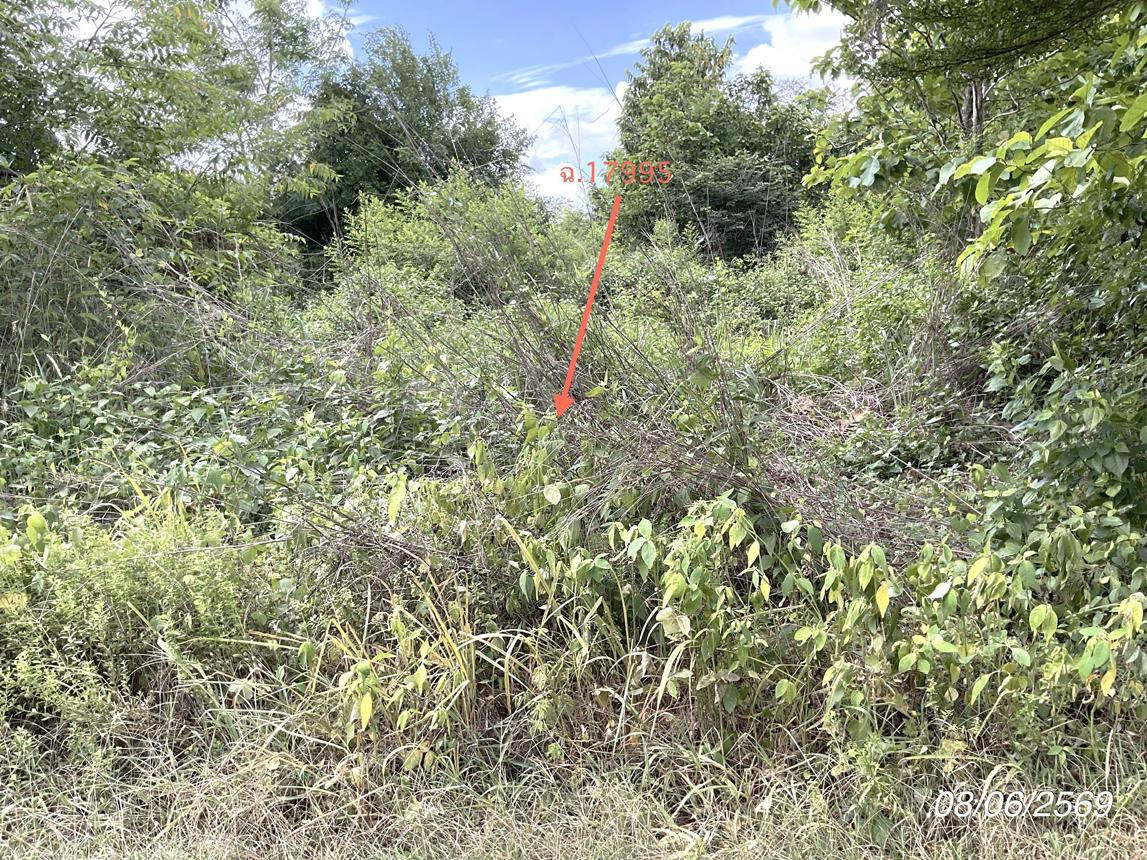 picture LAND 800 Sq.w. Sri Maha Pho Prachinburi for 1.6M - 14/20