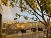 listing thumbnail image 14