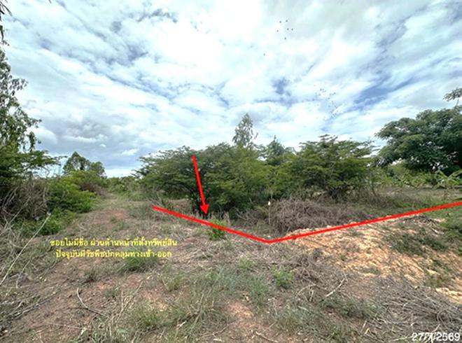 รูป ที่ดินว่างเปล่า 55.3 ตร.วา เมืองพิษณุโลก พิษณุโลก 332,000 - รูปที่ 3/12