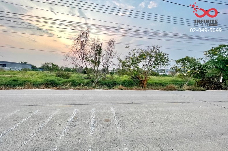 รูป ขายที่ดิน 4 ไร่ 3 งาน สามโคก ปทุมธานี เลียบคลองบางโพธิ์เหนือ ถนนเทศบาล 6 - รูปที่ 3/6