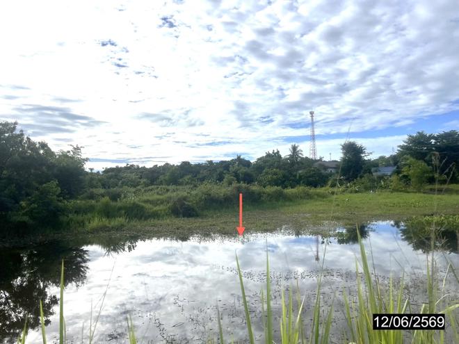 รูป ที่ดินว่างเปล่า 2480.4 ตร.วา เมืองกาฬสินธุ์ กาฬสินธุ์ 5.7M - รูปที่ 7/20