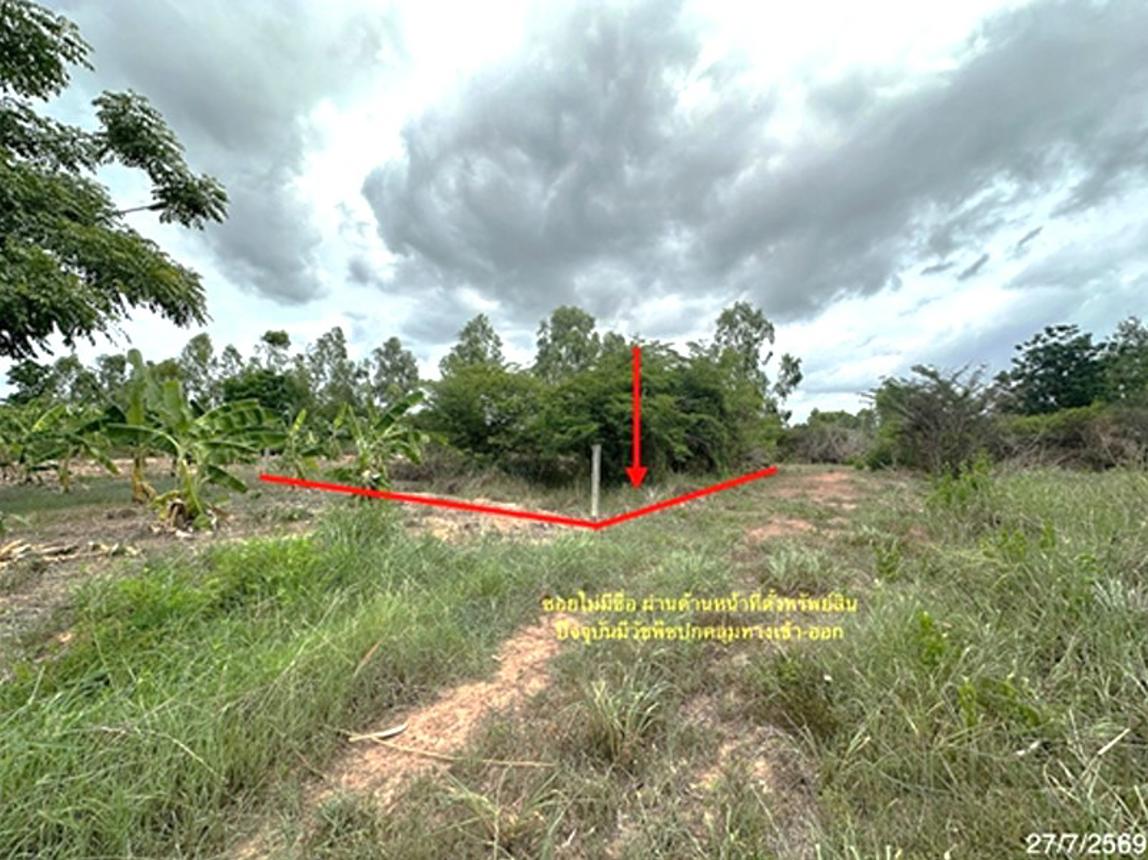 รูป ที่ดินว่างเปล่า 55.3 ตร.วา เมืองพิษณุโลก พิษณุโลก 332,000 - รูปที่ 5/12