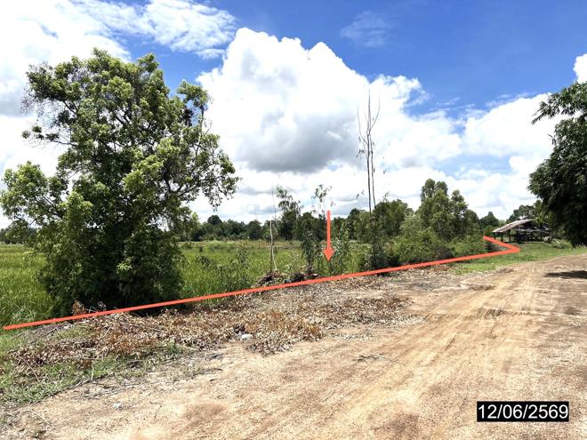 picture LAND 2738 Sq.w. Kamalasai Kalasin for 1.4M - 3/24