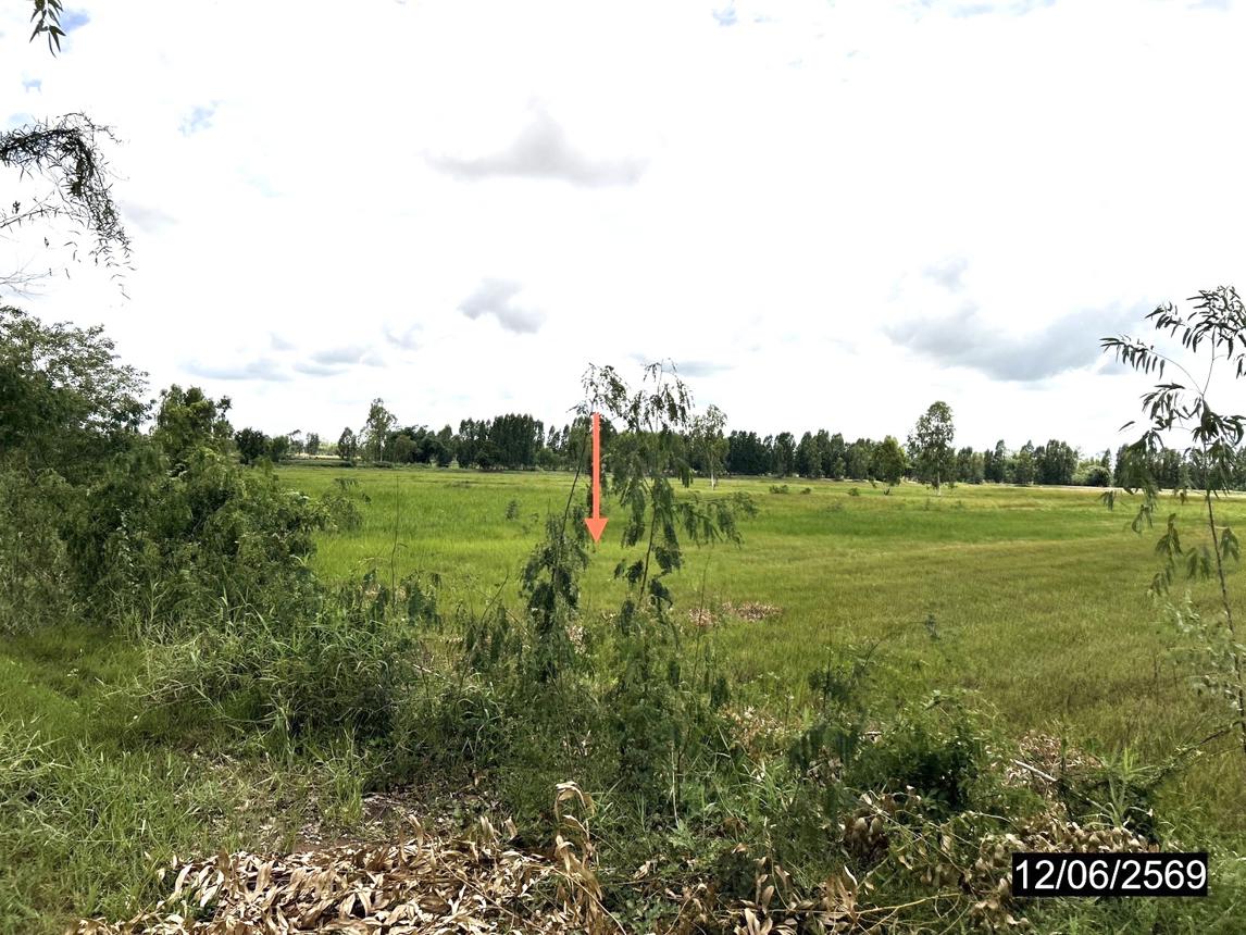 picture LAND 2738 Sq.w. Kamalasai Kalasin for 1.4M - 16/24