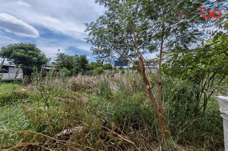 รูป ขายที่ดิน 363 ตร.ว. ถนนสุขาภิบาล 2 - กาญจนาภิเษก ติดถนนใหญ่ แปลงมุม ใกล้สนามบินสุวรรณภูมิ - รูปที่ 5/7