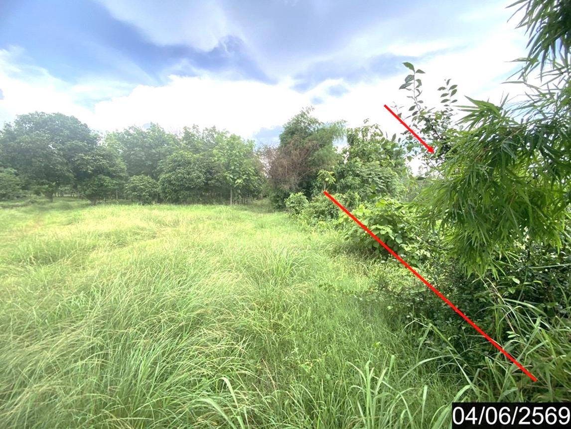รูป ที่ดินว่างเปล่า 7071 ตร.วา ท่าลี่ เลย 2.7M - รูปที่ 12/18