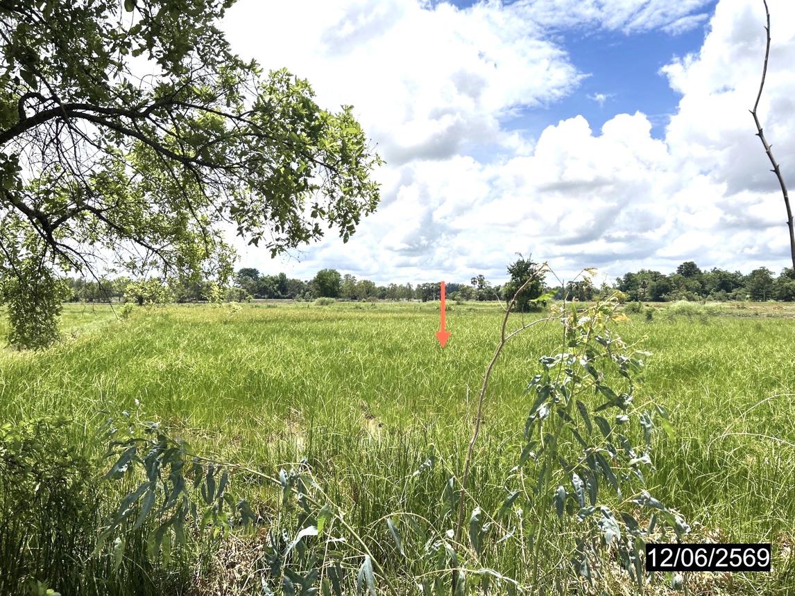 picture LAND 2738 Sq.w. Kamalasai Kalasin for 1.4M - 14/24