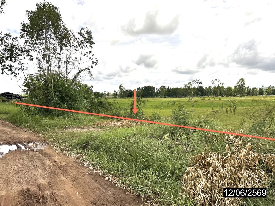 picture LAND 2738 Sq.w. Kamalasai Kalasin for 1.4M - 12/24