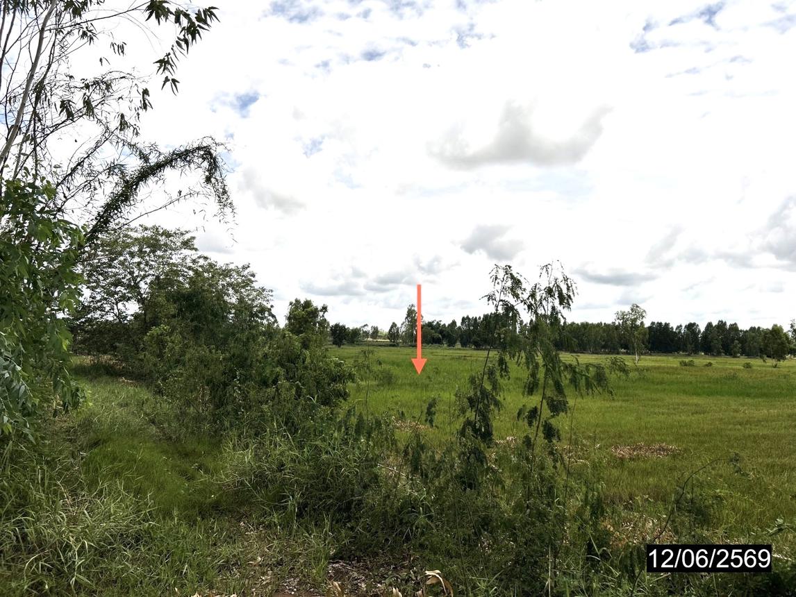 picture LAND 2738 Sq.w. Kamalasai Kalasin for 1.4M - 17/24